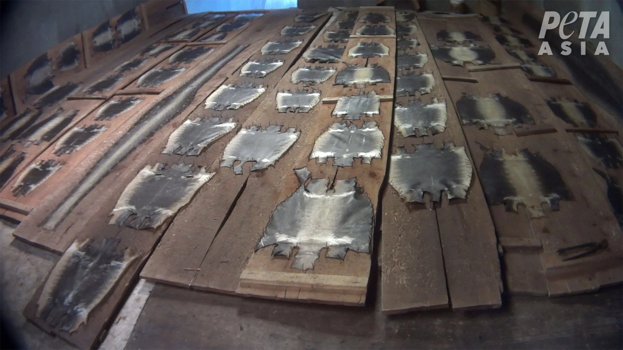 sorunun eş anlamlısı auburn bearing & manufacturing