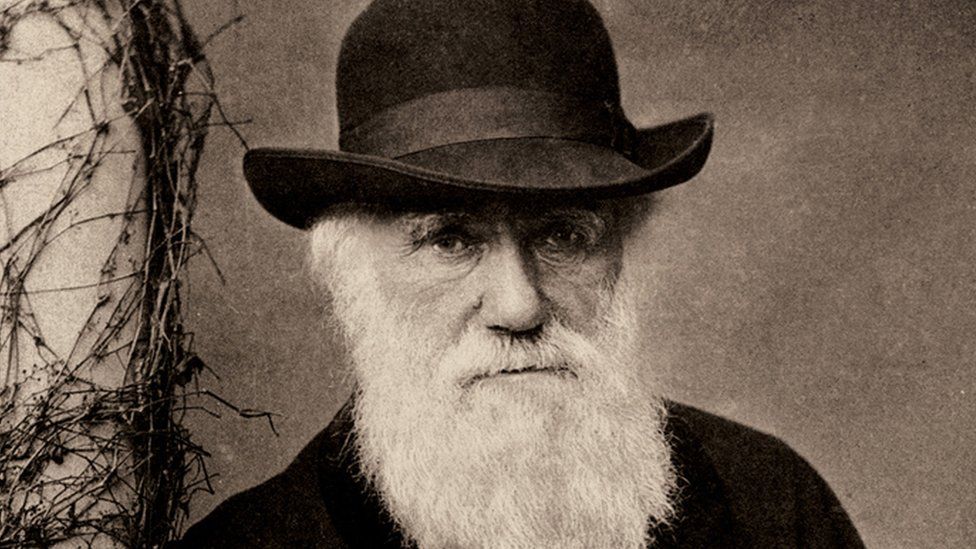 Charles Darwin'in 22 yıl &ouml;nce &ccedil;alınan defterleri gizemli bir şekilde geri  d&ouml;nd&uuml; | Independent T&uuml;rk&ccedil;e