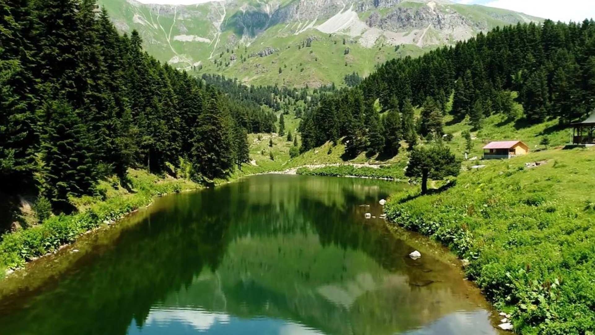 Yazık olmuş Karadeniz'e