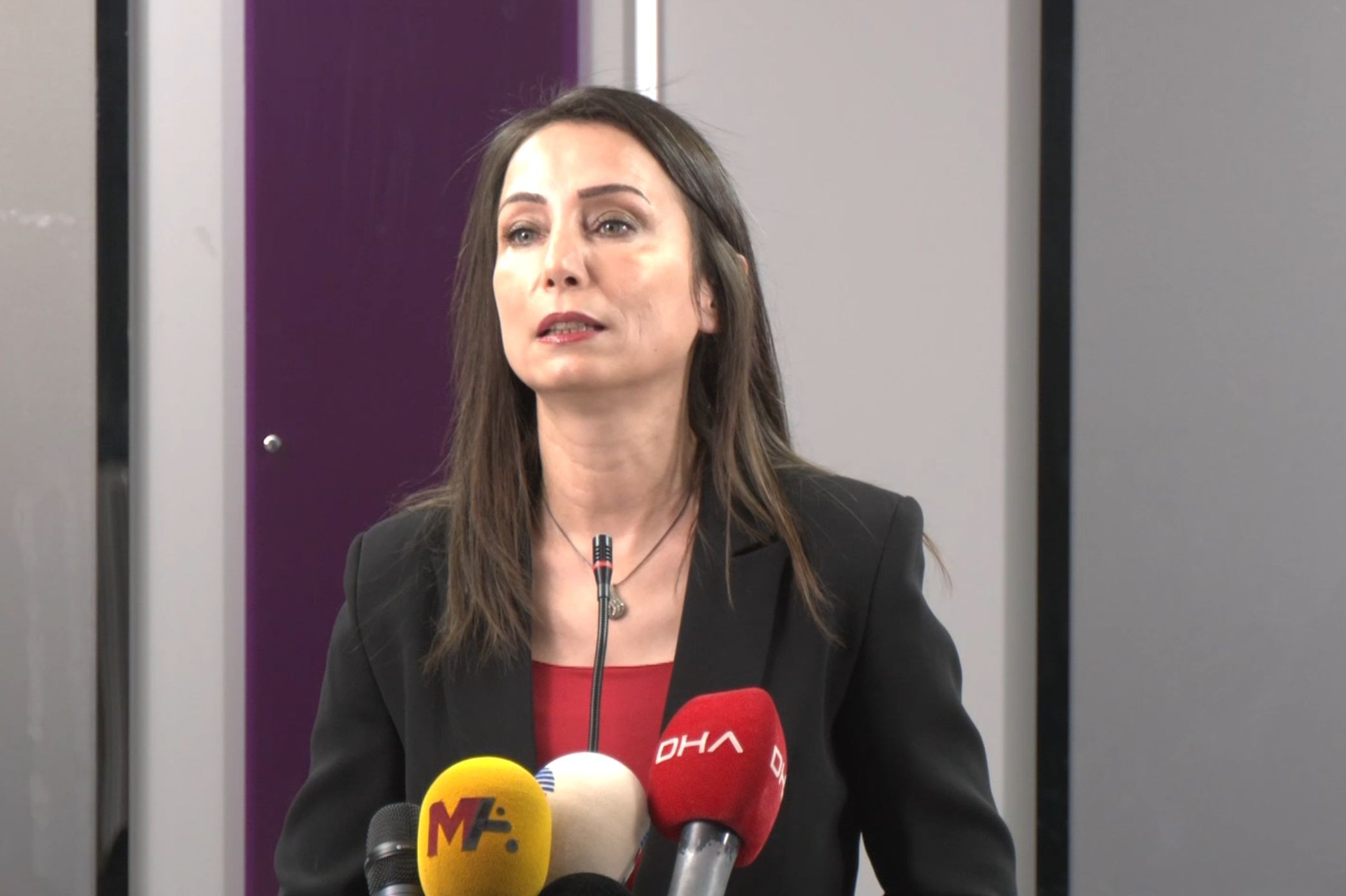 Tülay Hatimoğulları: Komisyon Öcalan’la bir an önce görüşmeli