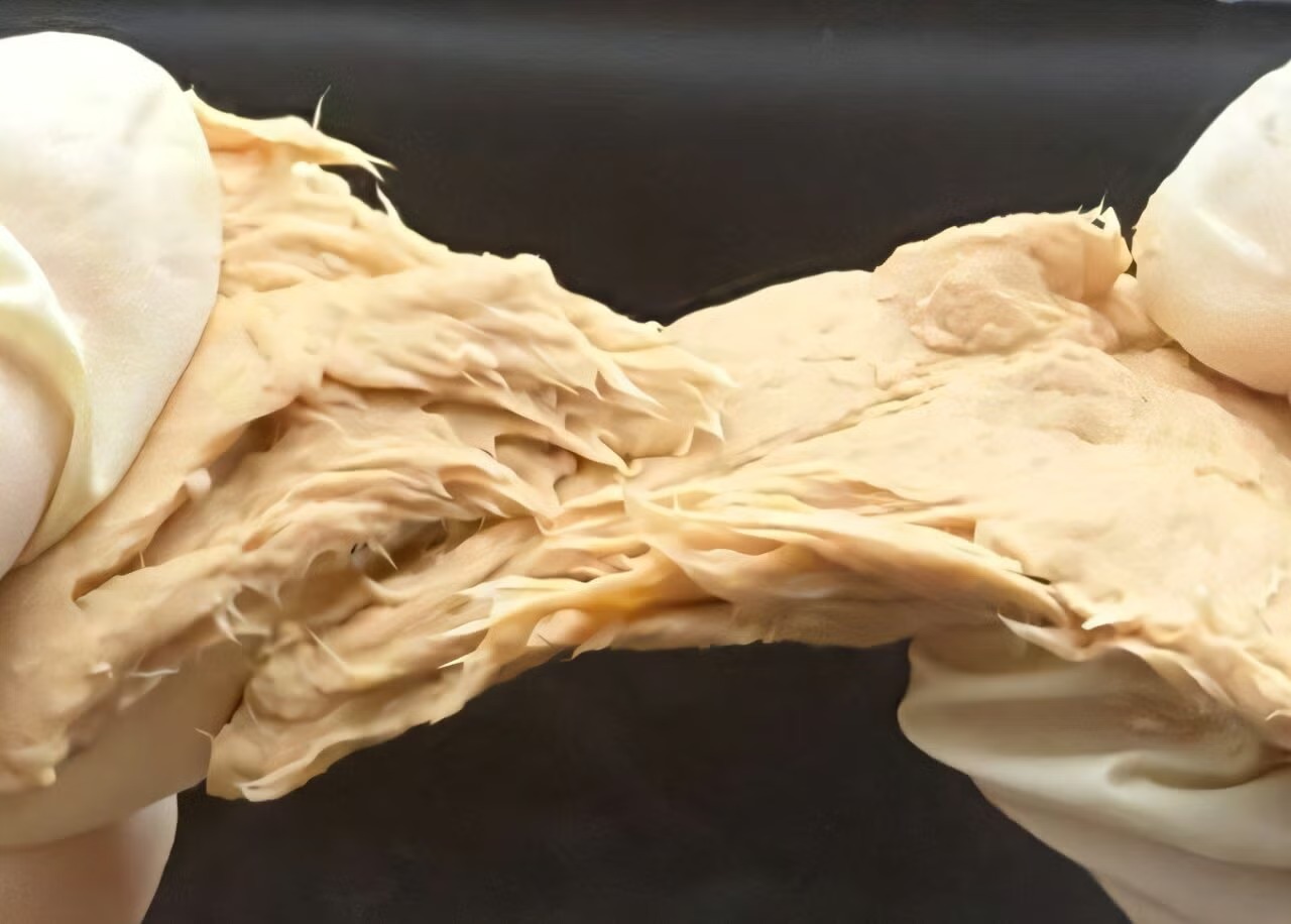 Laboratuvar üretimi "mantar eti", beyaz ete alternatif olabilir