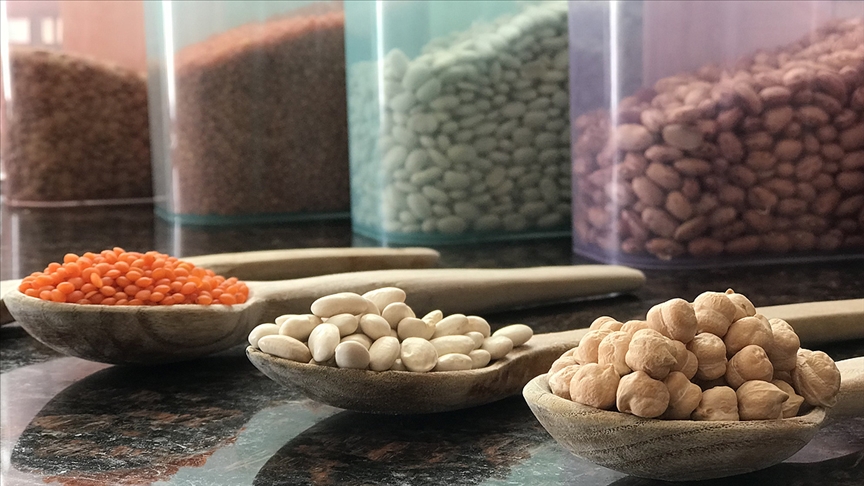 Türkiye’nin protein rekoltesi, Türkiye’yi doyurabilecek mi?