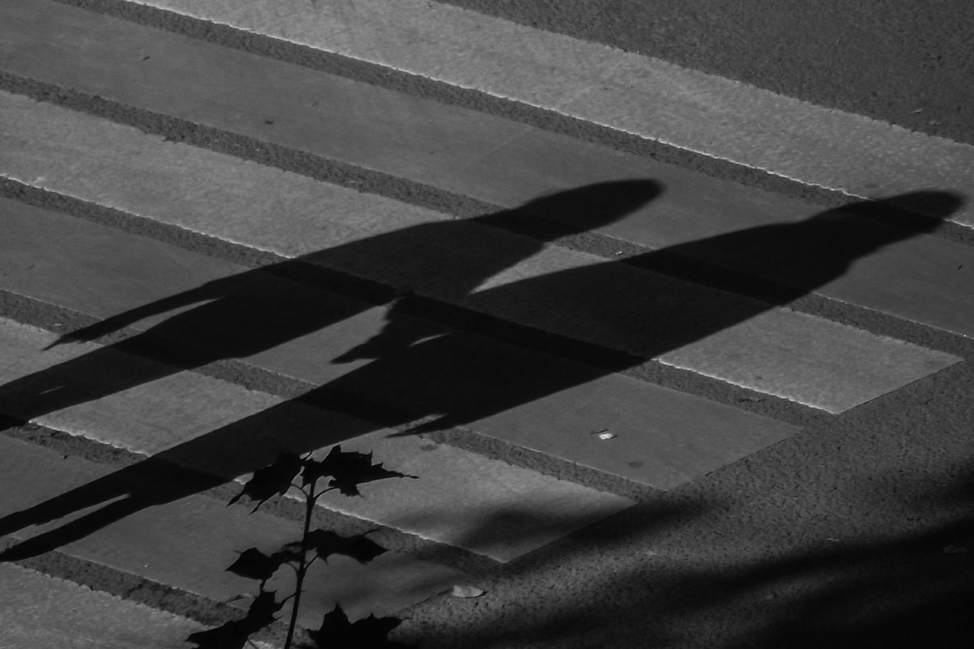 Bir çocuktan katil çıkaran kültürü hep birlikte var ettik