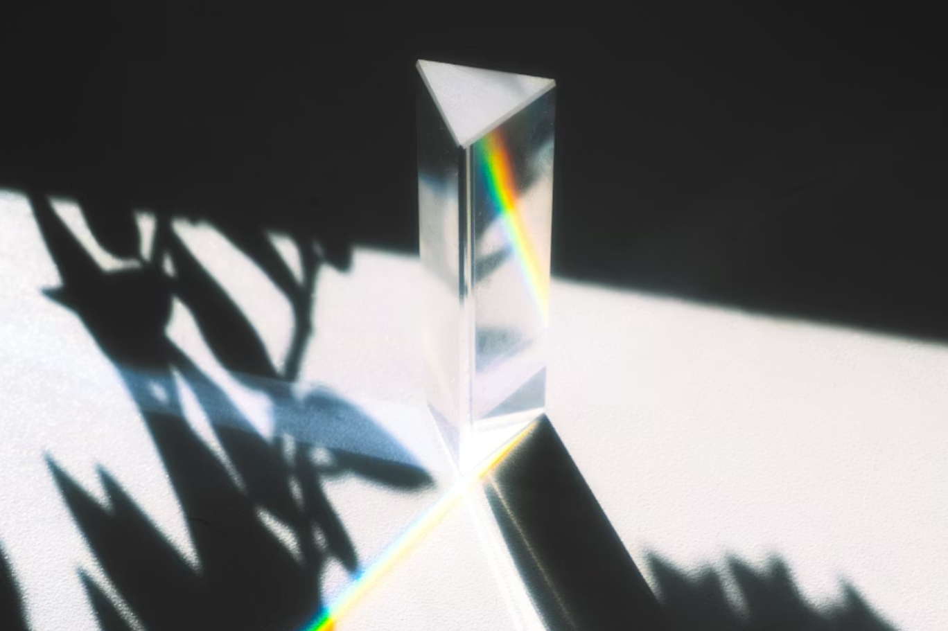 Neden halkınız arasında yaygın olan görüşün yanında yer alıyorsunuz?