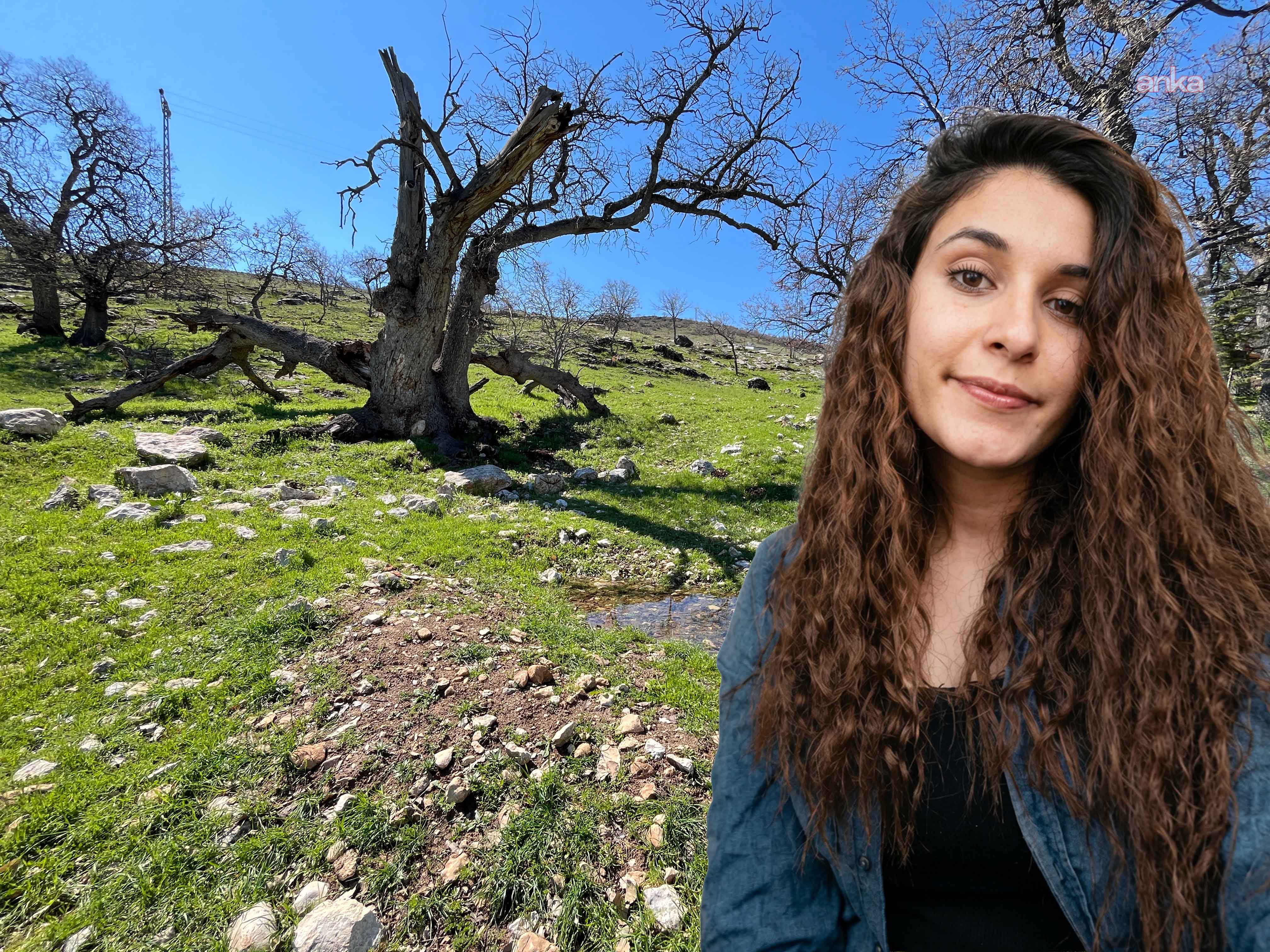 Gülistan Doku soruşturması için 5 ayrı ekip kuruldu