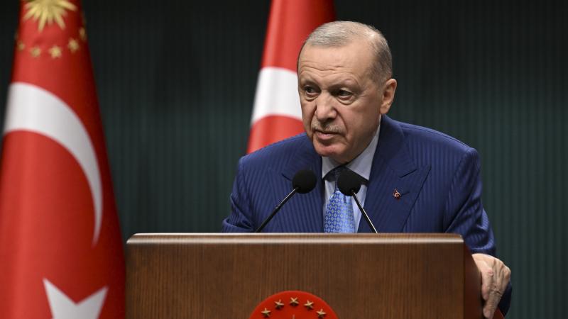 Erdoğan: Türkiye ve Cezayir, bölgedeki şiddet sarmalının sona erdirilmesinde ortak tutuma sahip
