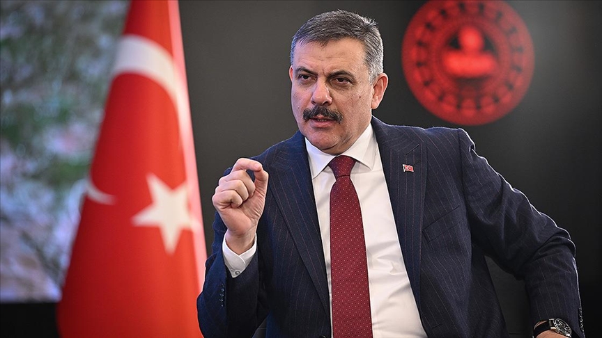 İçişleri Bakanı Çiftçi: Bütün Türkiye'de yüzde 80 oranında sahipsiz hayvanlar toplanmış durumda