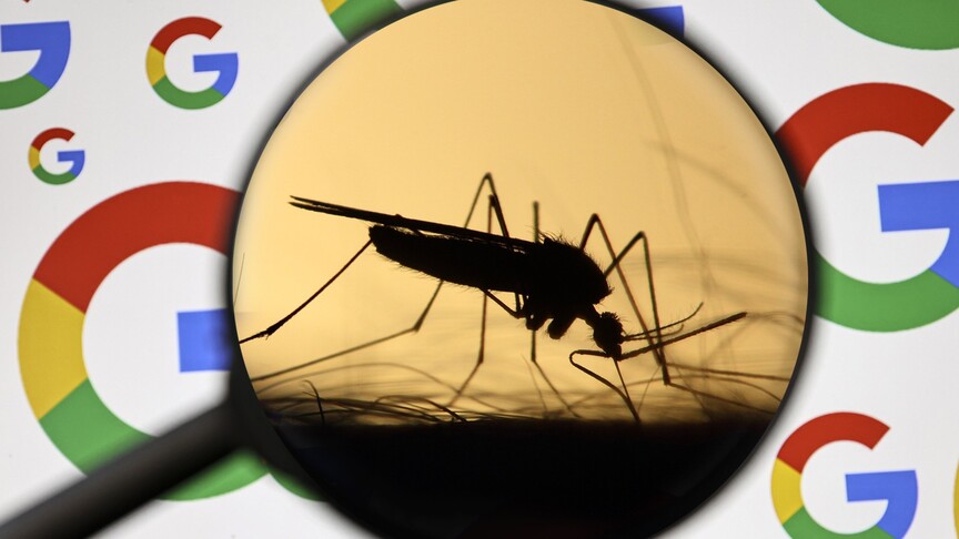 Google, ABD'de hastalıkları engellemek için 32 milyon 