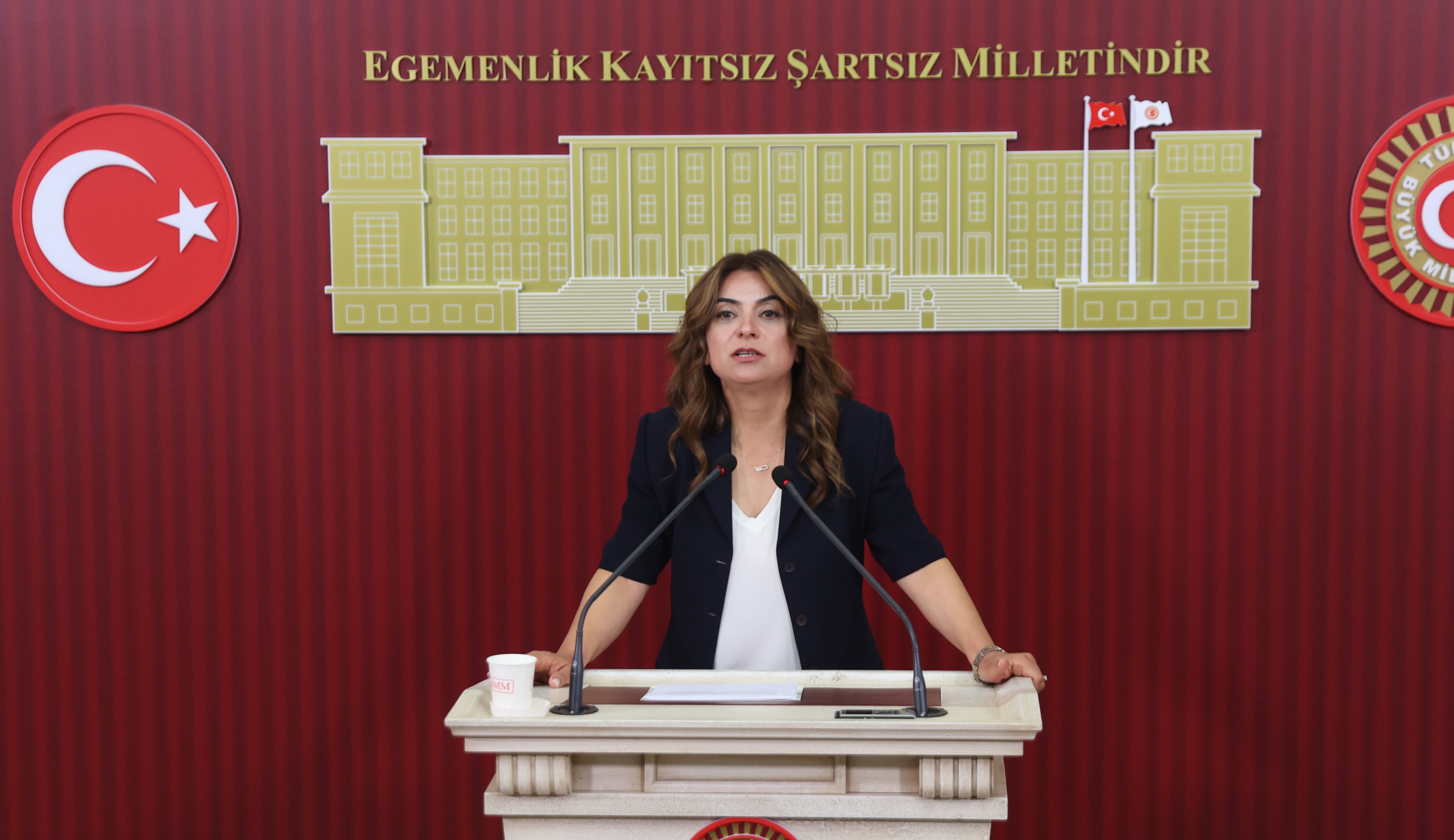 Koçyiğit: Çerçeve yasa taslağı bu hafta İmralı Heyeti'ne sunulabilir