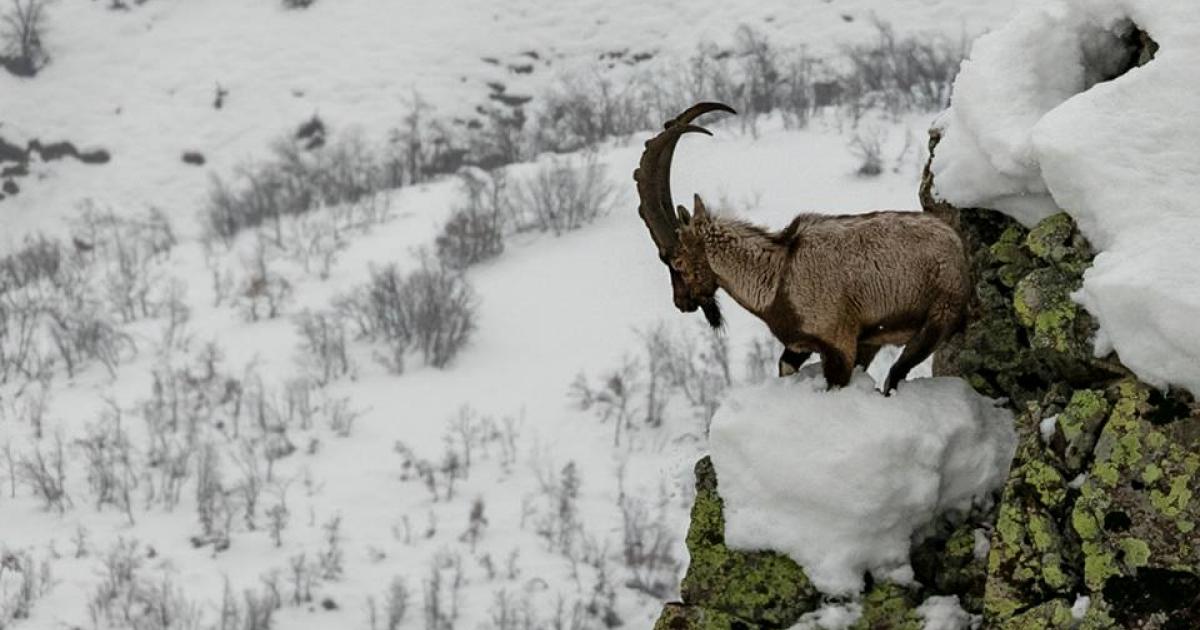 dersim in tilsimli varliklari dag
