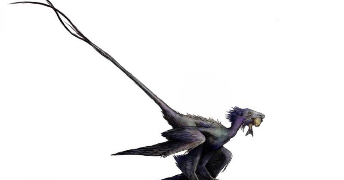 dans eden ejderha dinozor ve kus