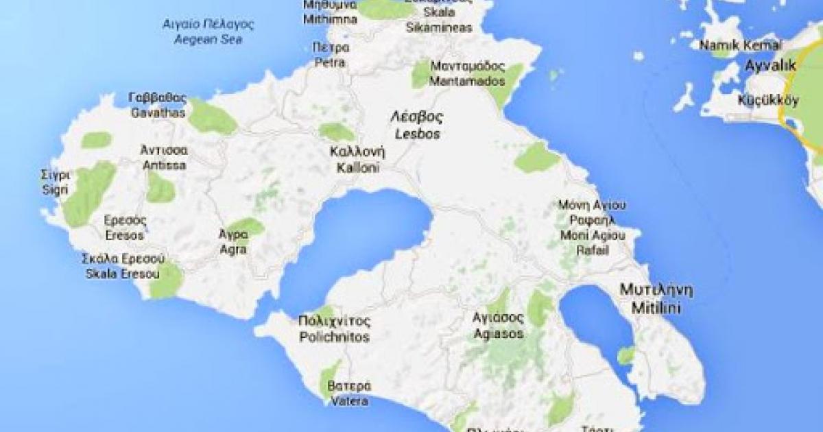 midilli de