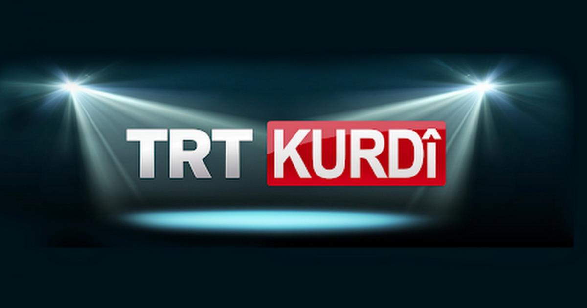 masa altı porno sevişme öpüşme koklaşma
