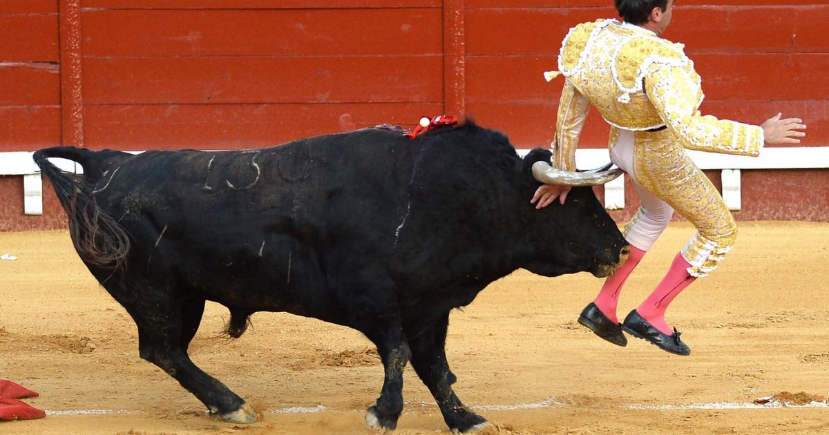 İspanyol boğa güreşi yaralanmaları