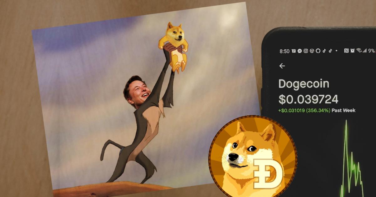 dogecoin ne