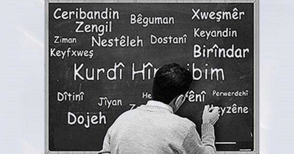 cokdillilik ve kurtce nin egitim ve