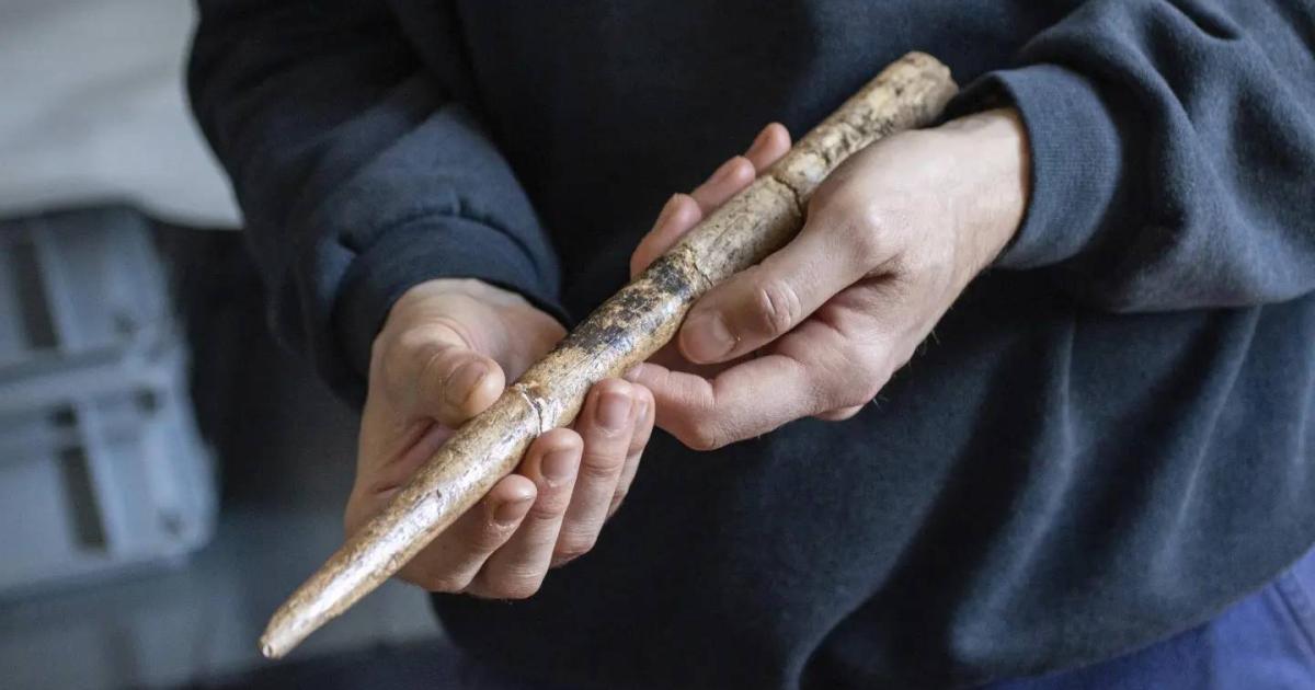 Balina Kemiği ile Yapılan En Eski Aletler - Bugun TR