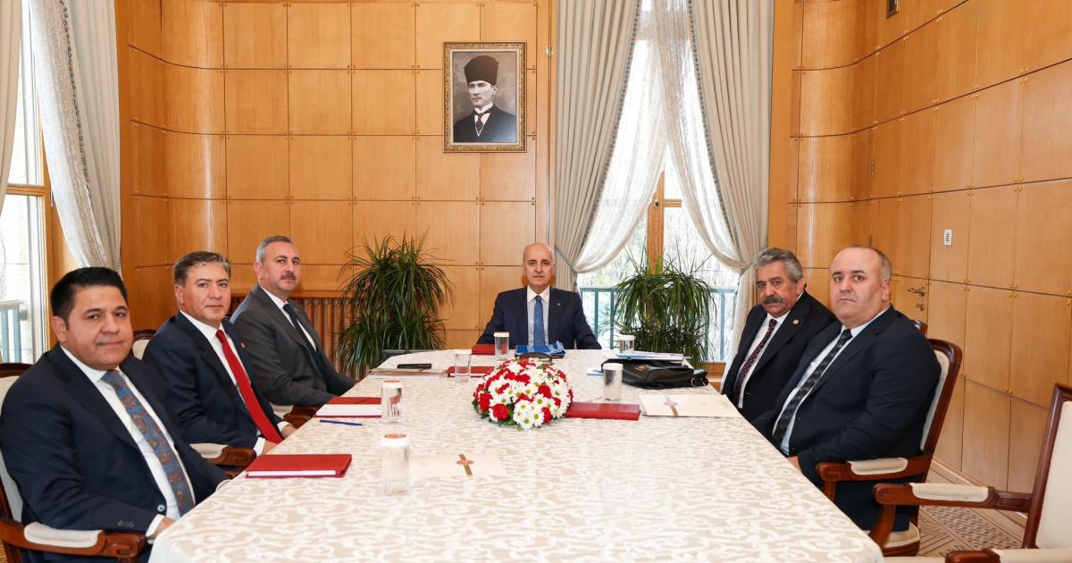 Ortak Raporun Tamamlanması ve Müzakereler - Türkiye'de Demokrasi Komisyonu