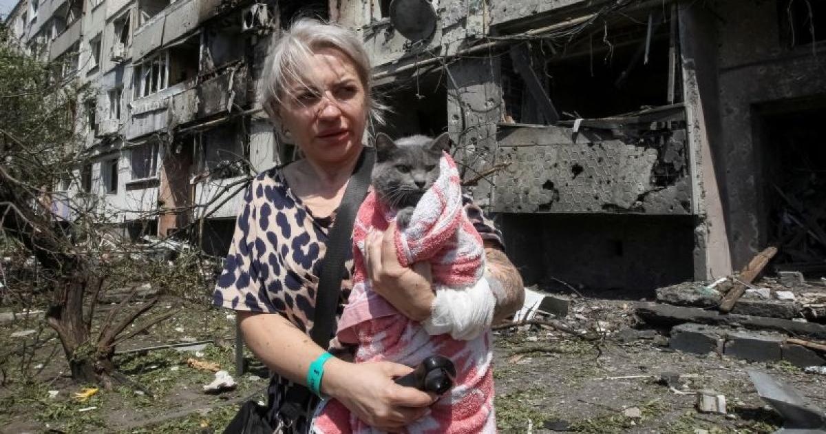 Ukrayna'da bu ay 377 sivil öldürüldü — Şubat 2022'den beri en yüksek sayılardan biri