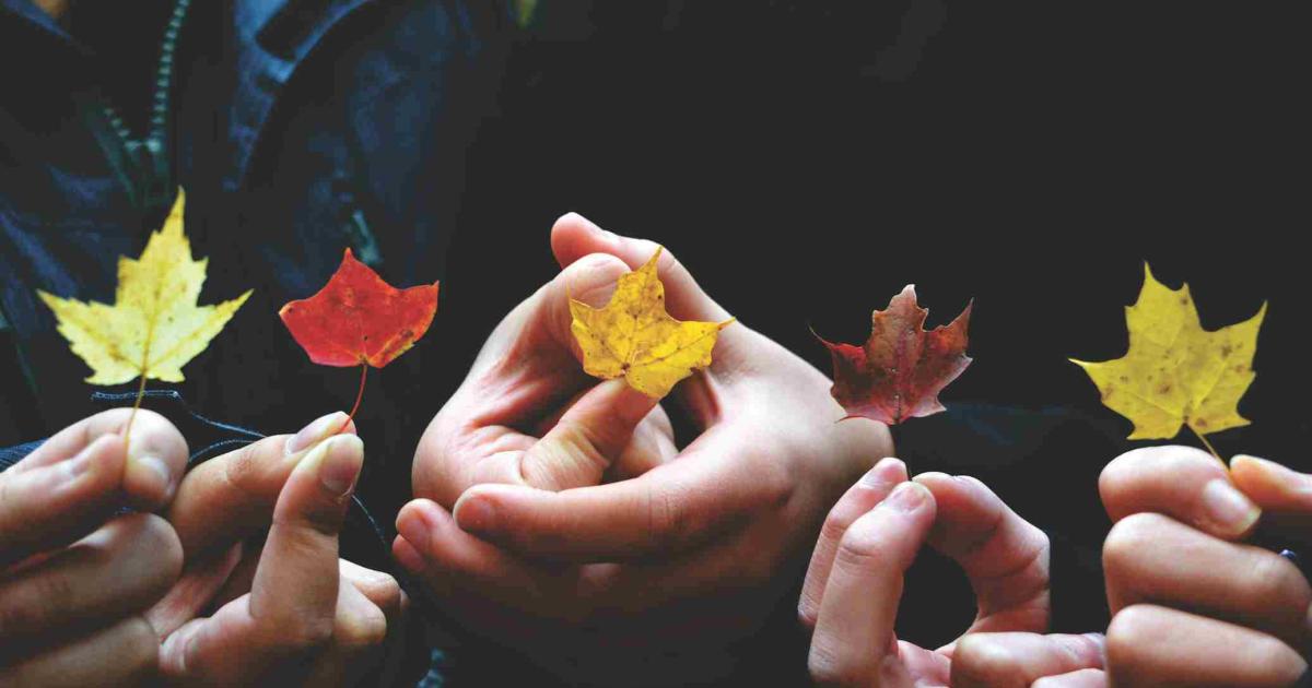'Ahlaki Değerler, Mevsimden Mevsime Değişiyor' - Bugun TR