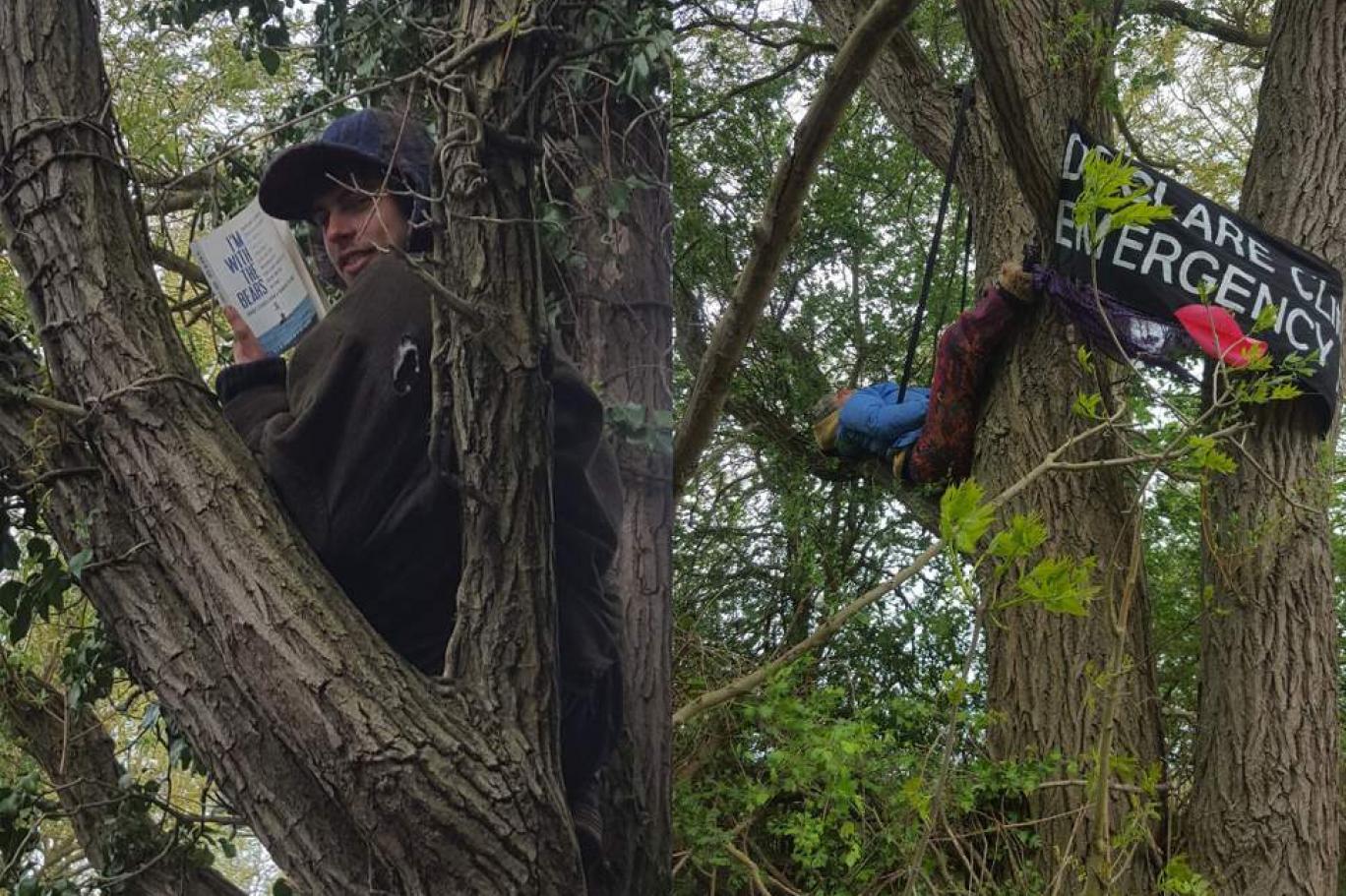 kamp kurup kitap okudular