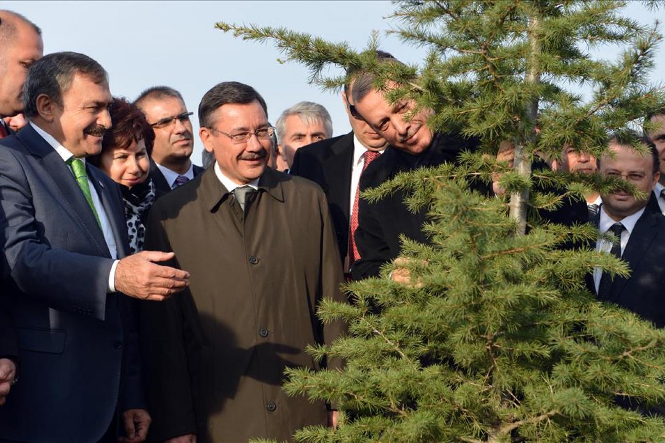 Agac Dikme Bayrami Fikrine Erdogan In Yaniti Bu Cok Guzel Bir Fikir Independent Turkce