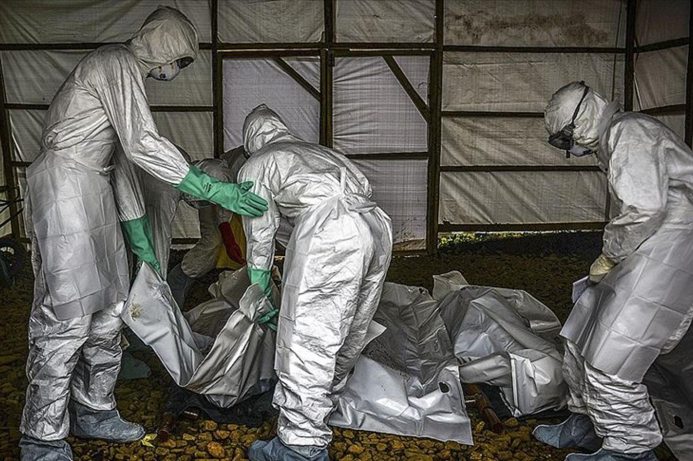 ebolanin ilaci bulundu deneylerde
