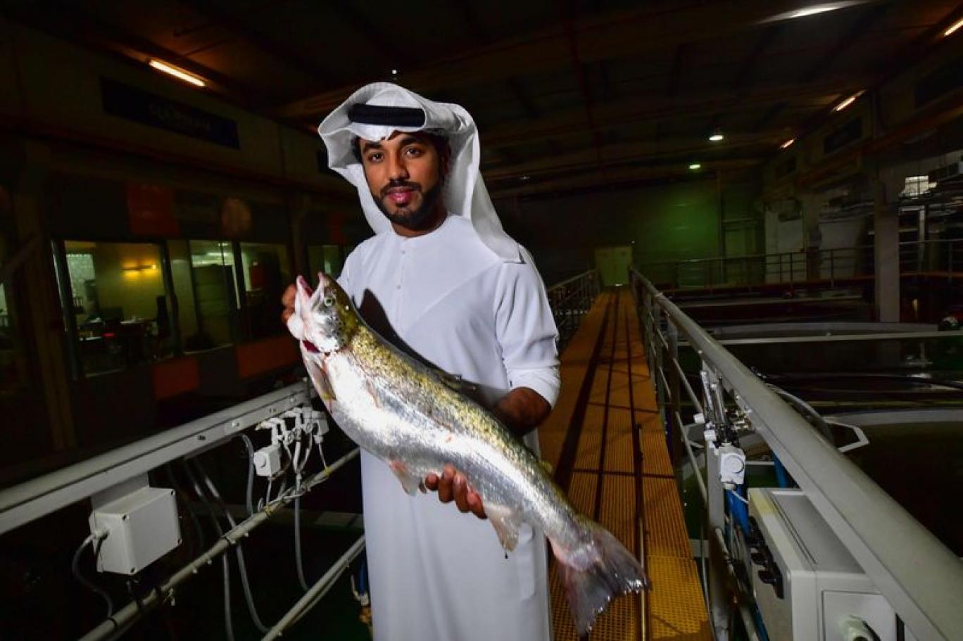 somonu dubai deki somon