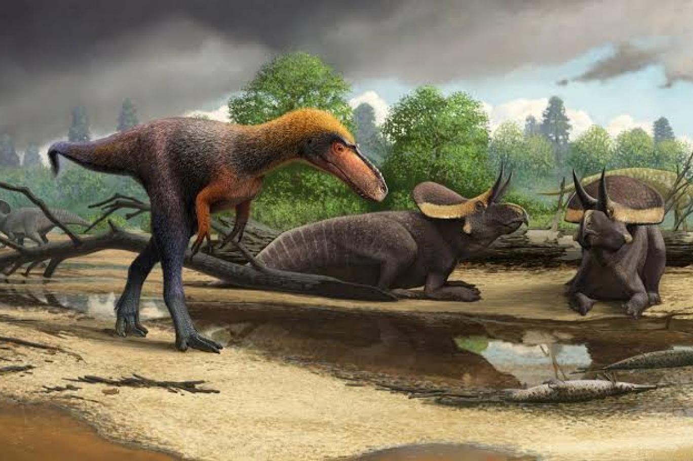 dunya nin dinozorlar yok olmadan once