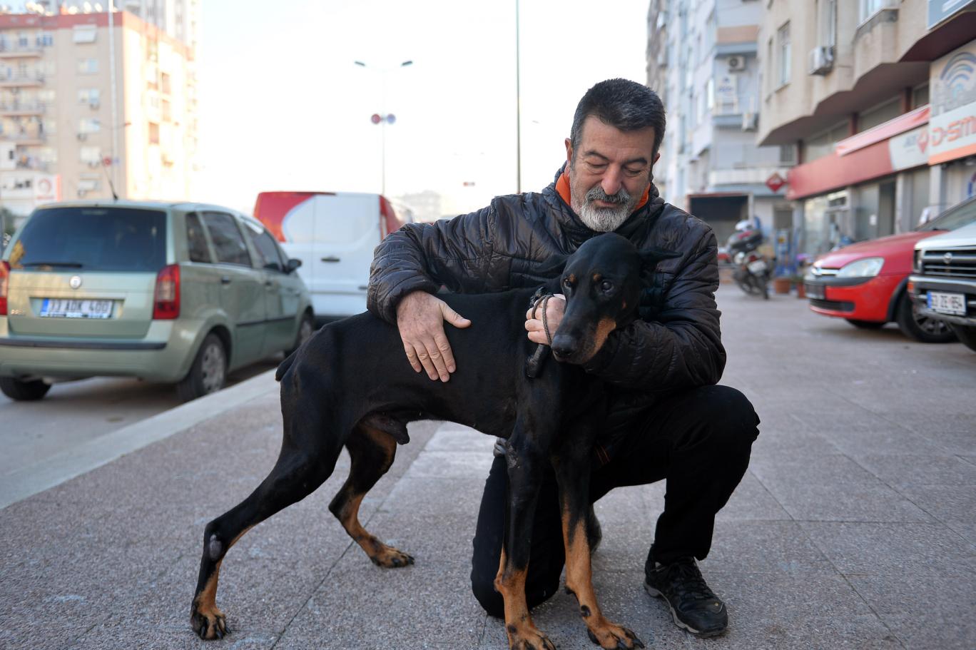 Bakan Pakdemirli Talimat Verdi Bobo Katarakt Tedavisi Icin Istanbul A Gonderildi Independent Turkce