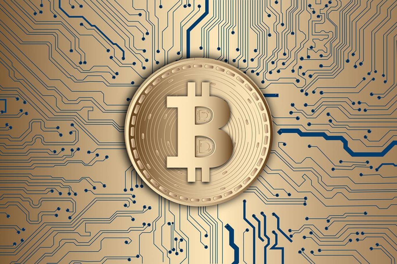 0 2 Bitcoin Le Baslayip 100 Bin Dolar Kazanan Kripto Para Tuccari Stratejisini Acikladi Independent Turkce
