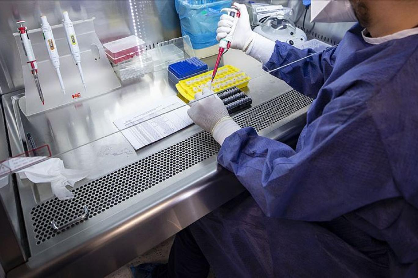 Medipol Universitesi Nden Pcr Testi Ucreti Aciklamasi Independent Turkce