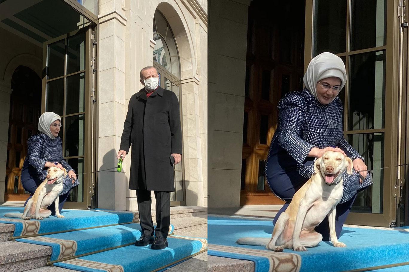 emine erdogan cumhurbaskani erdogan i