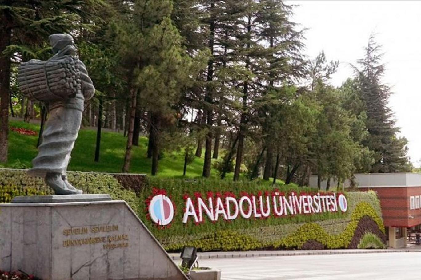 anadolu universitesi akademisyeni