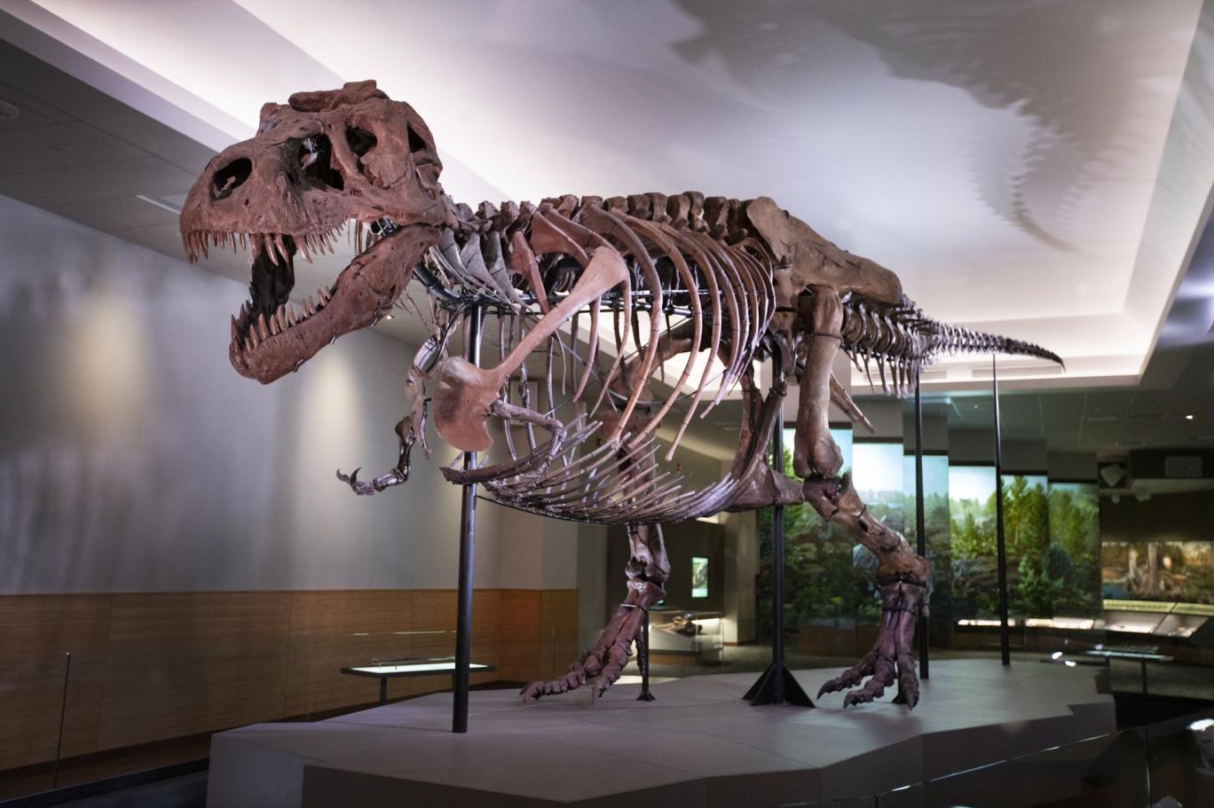 dinozor cesitliliginin az olmasi