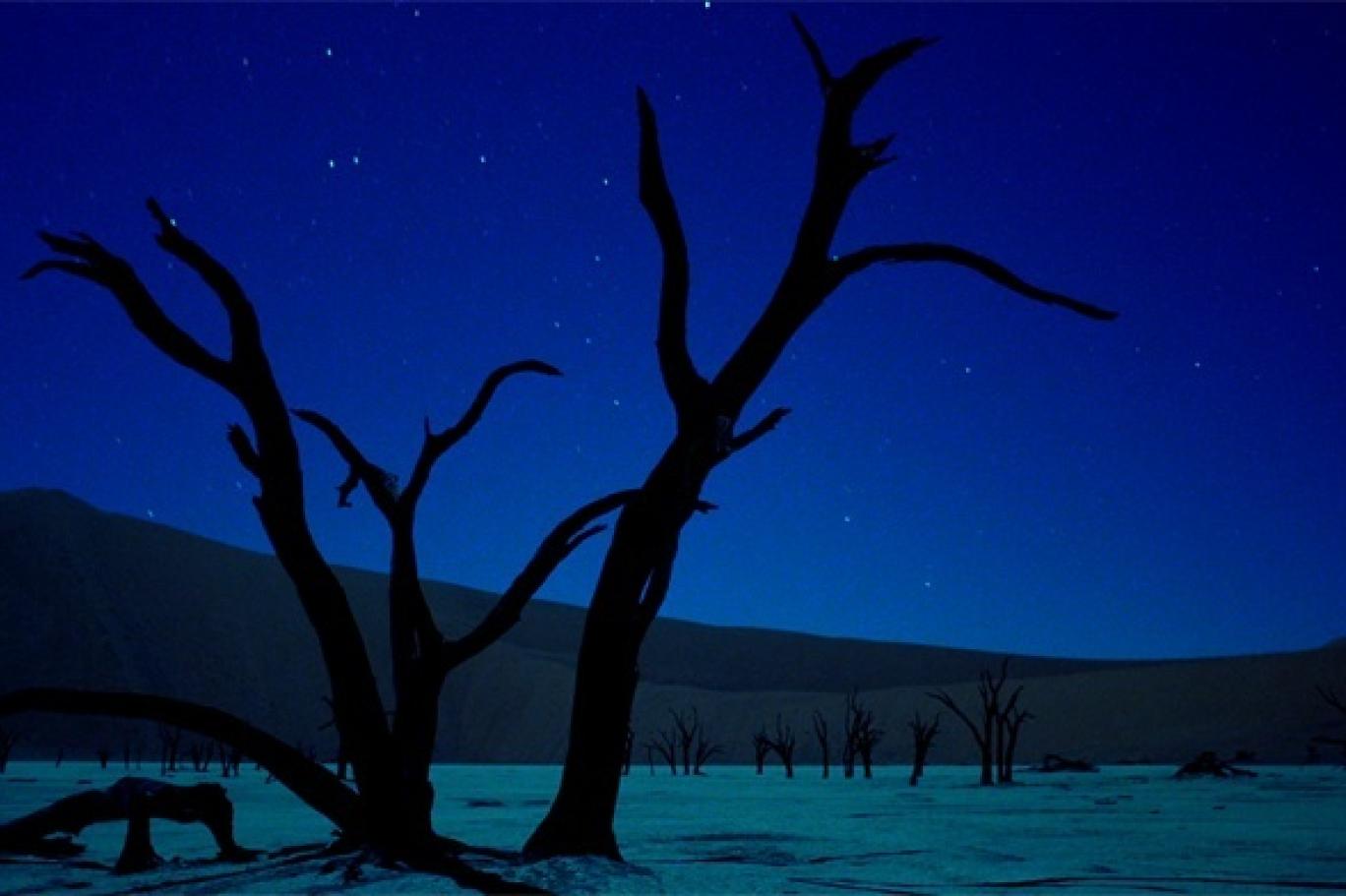 derin dhillon karısı