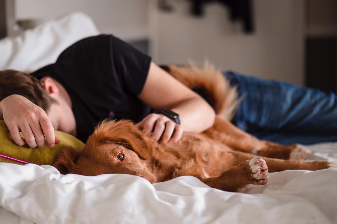 Hayvan uzmanları uyardı: Kışın yatağınızı köpeğinizle paylaşmak tehlikeli olabilir