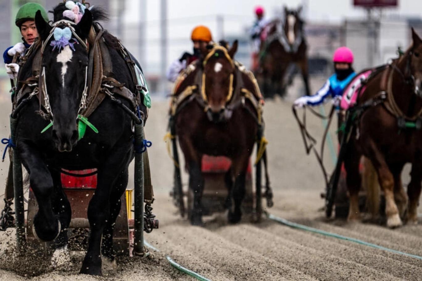The world's slowest horse race makes its second spring