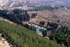 BERJAYA