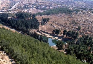 BERJAYA