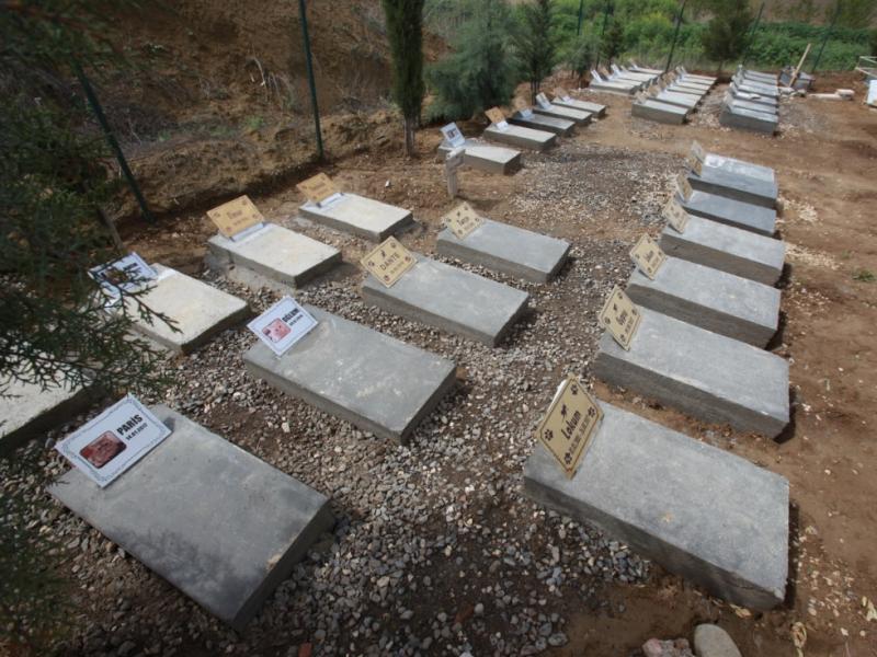 hayvan mezarliklari belediye