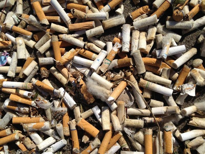 sifir atik projesi 2 sigara izmariti