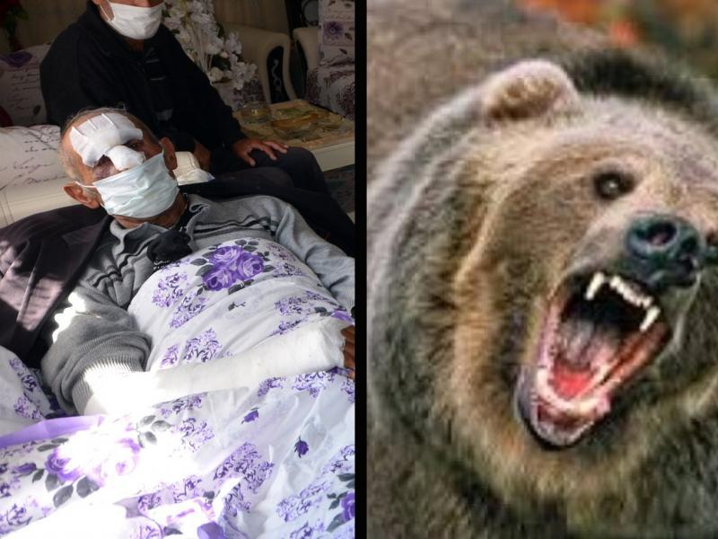 kars ta bir hafta arayla ikinci ayi