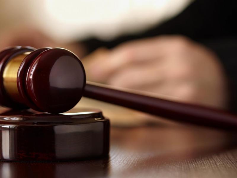 Sürekli hapşıran kediyi kimse sahiplenmedi Independent Türkçe
