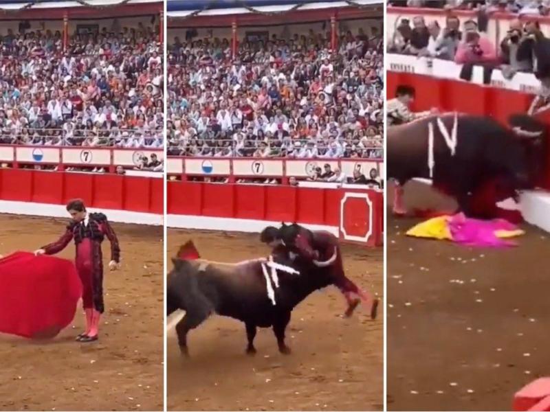 İspanyol boğa güreşi yaralanmaları