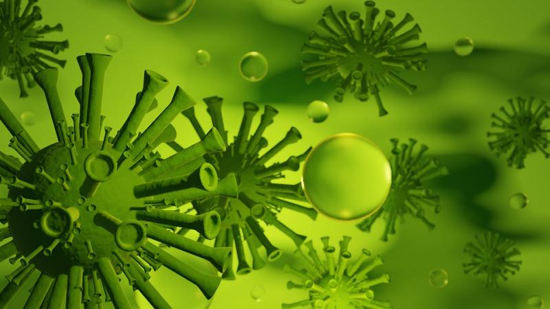 a dan z ye kovid 19 koronavirus