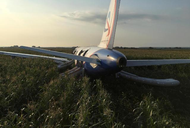 russia-plane-bird-landing.jpg