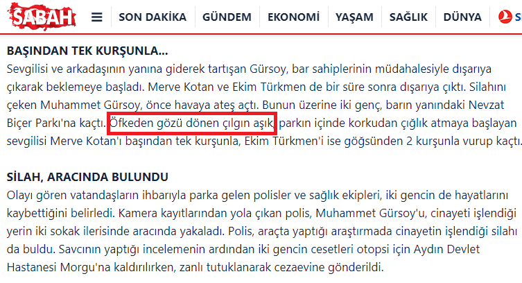'çılgın aşık'.PNG