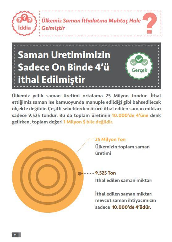 saman.JPG