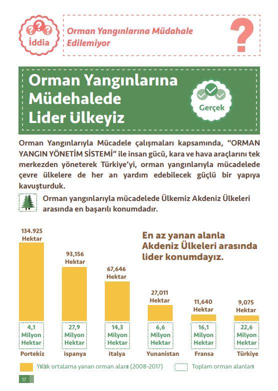 orman yangını.JPG